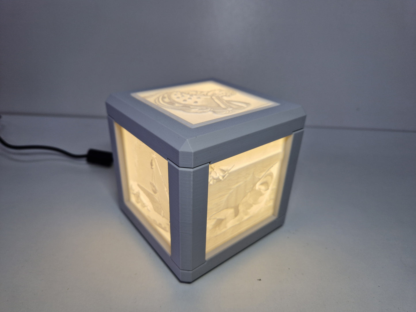 Foto lamp met LED met stekker